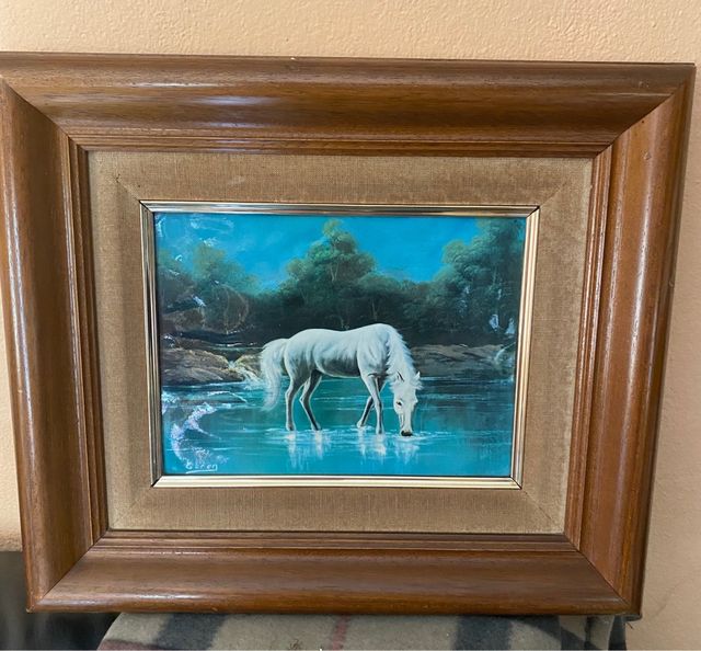 2 cuadros de caballo