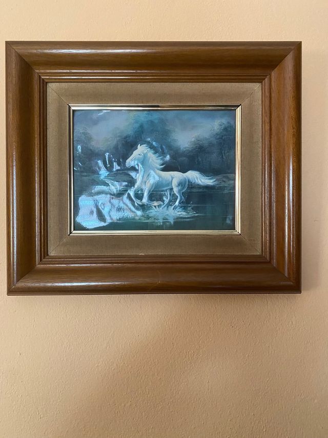 2 cuadros de caballo