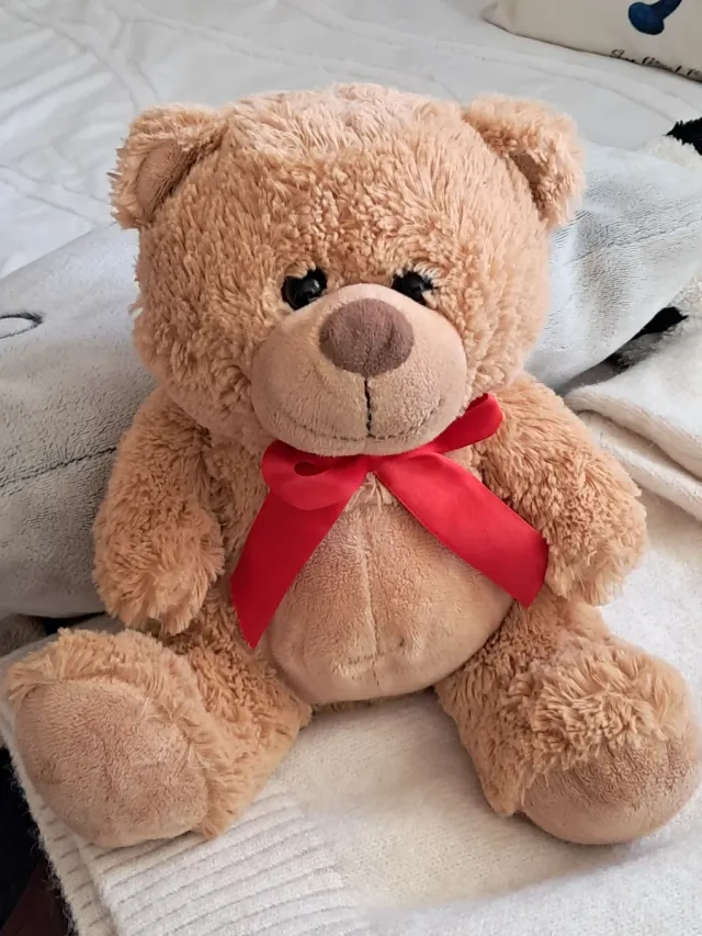 Osito de peluche con lazo rojo