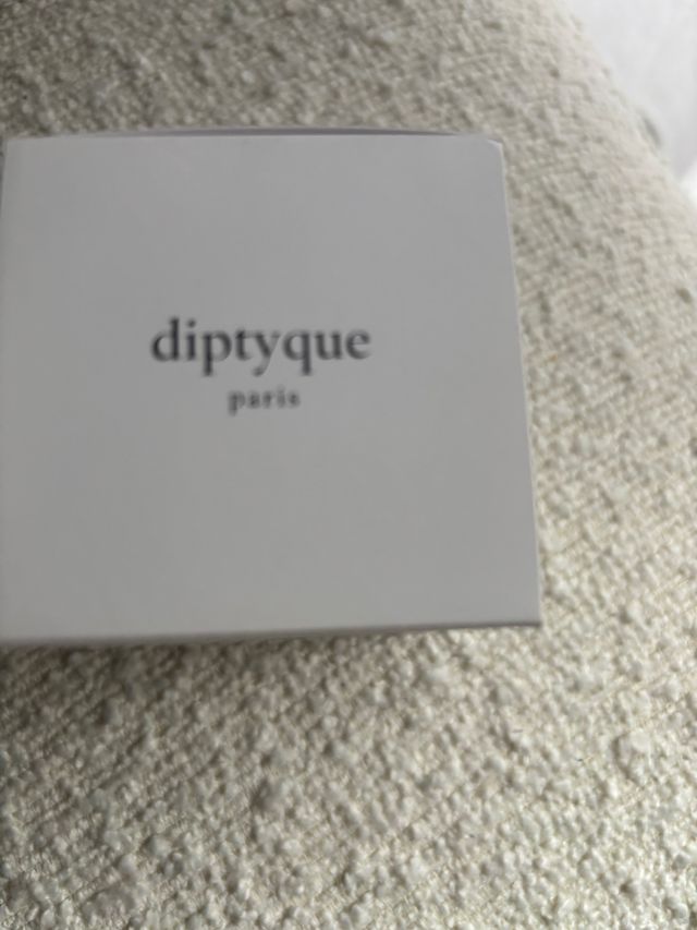 Candela profumata Diptyque Baies 70g