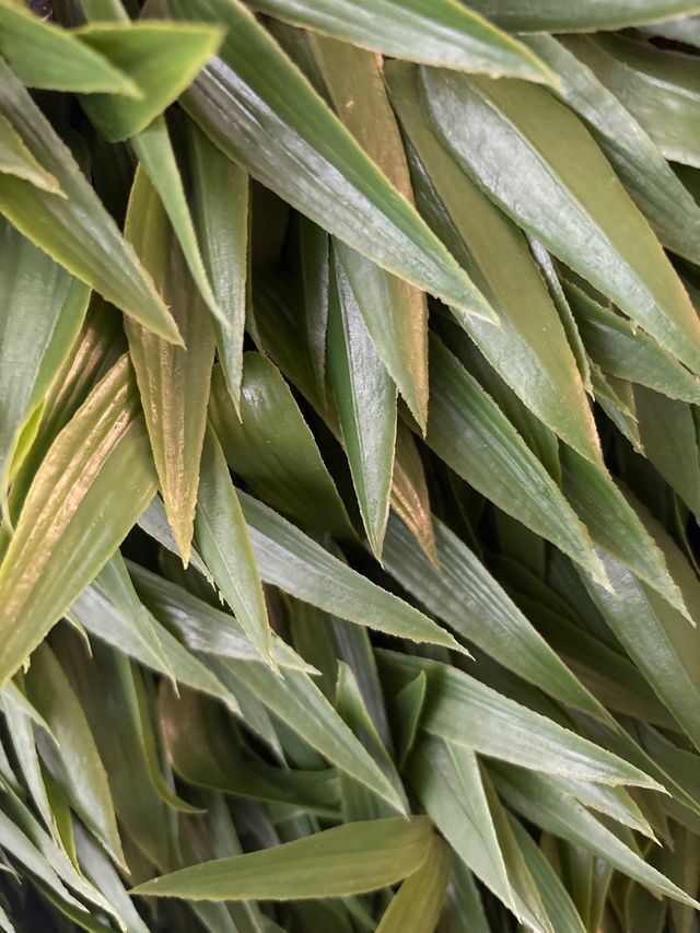 Siepe artificiale verde