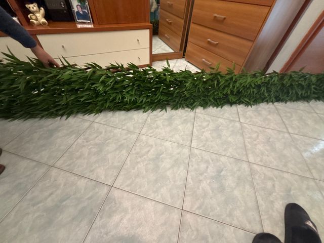 Siepe artificiale verde