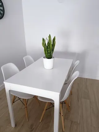 Mesa extensible y 4 Sillas Comedor. NO ENVÍO