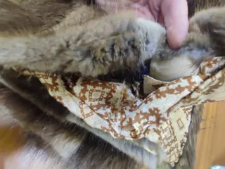 Bellissima Pelliccia made in italy Sartoriale