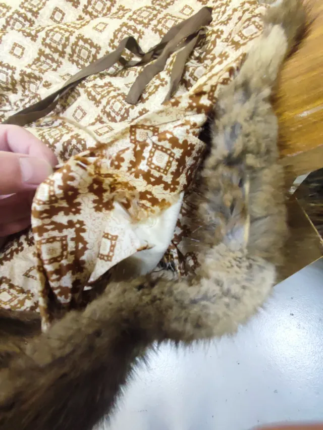 Bellissima Pelliccia made in italy Sartoriale