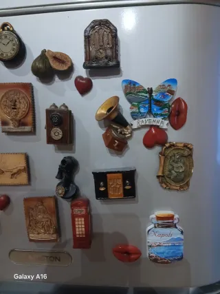 Set 54 Calamite Miste Frigo