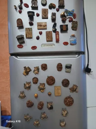 Set 54 Calamite Miste Frigo