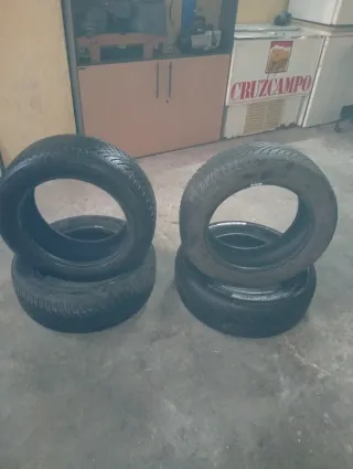 Juego de Neumáticos 205/55R16 XL