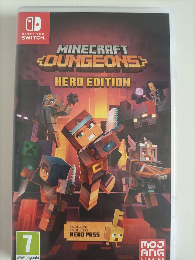 Minecraft Dungeons Hero Edition Switch