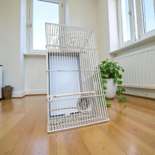 Preciosa jaula para pájaros