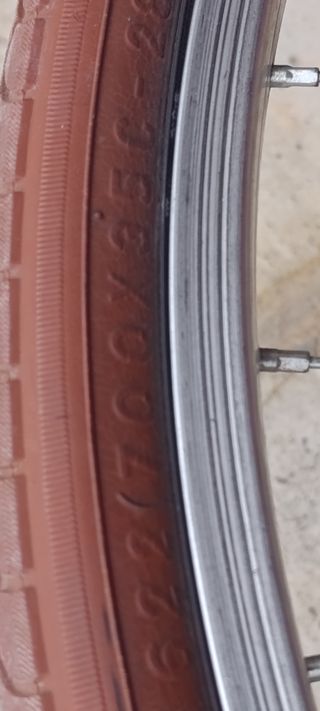 Bicicleta tipo fixie con freno holandes.