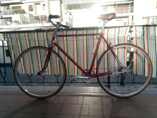 Bici acciaio perfetta