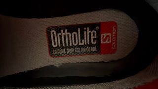 Zapatillas Salomon Gore-Tex Mujer Azul