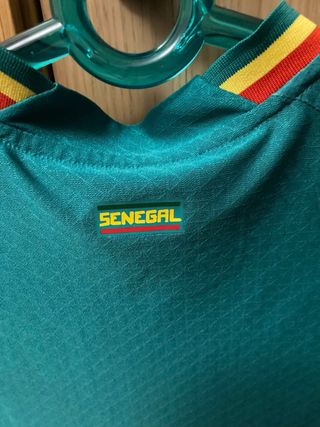 Camiseta Puma Selección Senegal