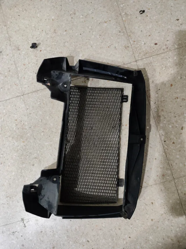 Protector radiador BMW F800GS