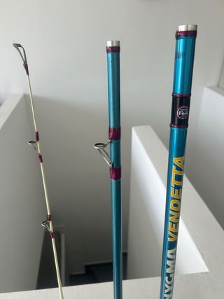 Combo Caña y Carrete Surfcasting