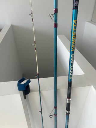 Combo Caña y Carrete Surfcasting