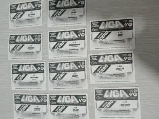 Cromos Mister Cero Futbol - Porteros