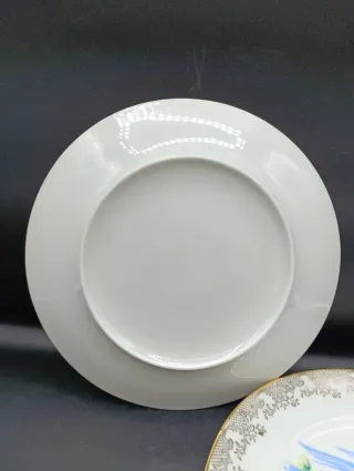 Vajilla Porcelana Peces Dorada