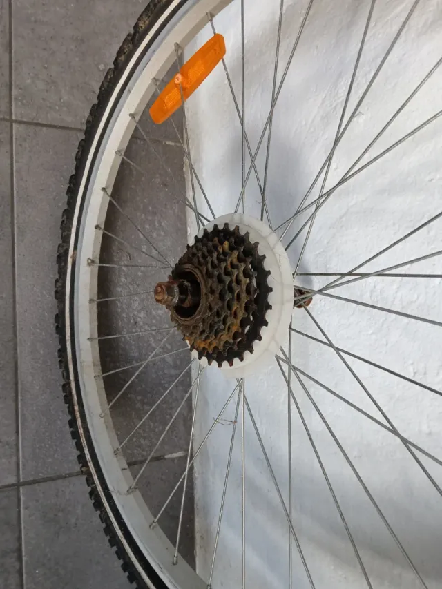 2 Ruedas de Bicicleta