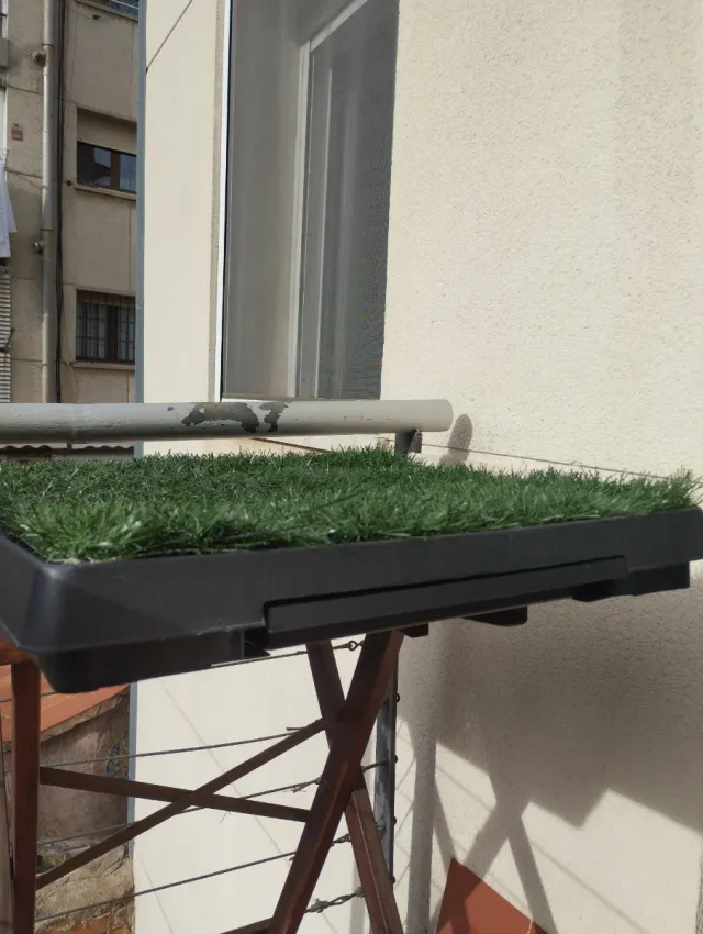 Pack 2 Bandejas Césped Artificial Perro