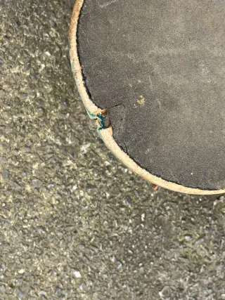 Skate Globe con diseño arcoíris