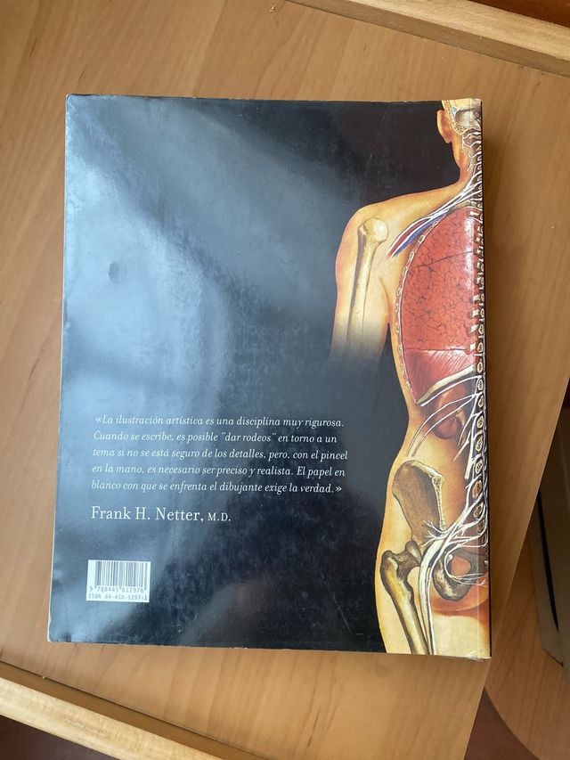 Atlas de Anatomia Humana (Spanish Edition) Netter