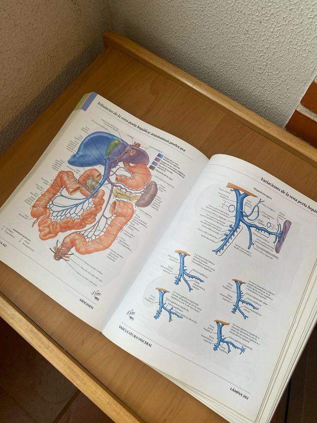 Atlas de Anatomia Humana (Spanish Edition) Netter