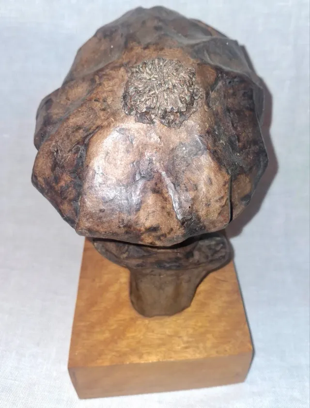 Busto in legno con cappello