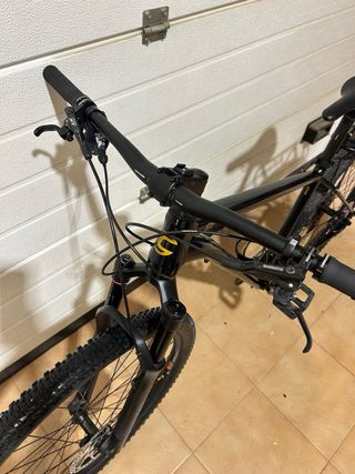 Cannondale Trail 1 29”