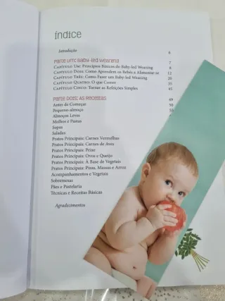 Livro BLW - Os Bebés Sabem Comer Sozinhos