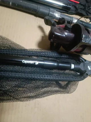 Lote de pesca: cañas, carretes y accesorios