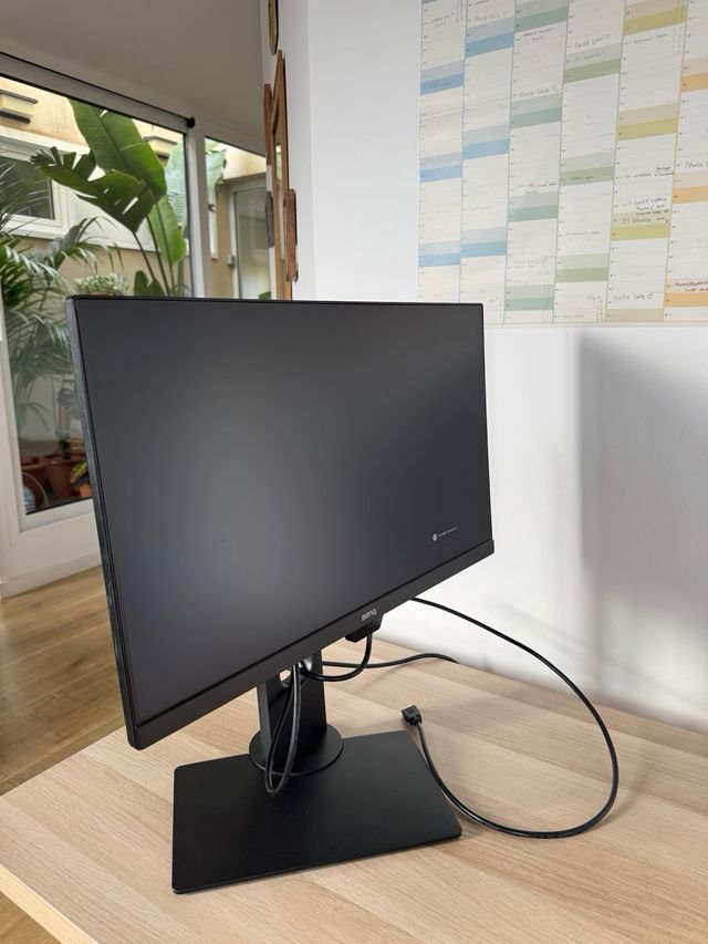 Monitor BenQ GW2480T 23,8 Negro