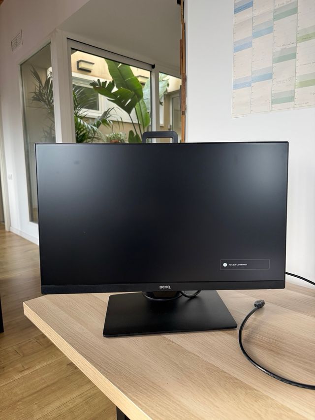 Monitor BenQ GW2480T 23,8 Negro