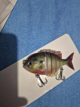 7 Esche da pesca snodate