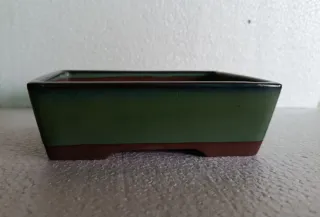 Maceta bonsai japonesa yamabum