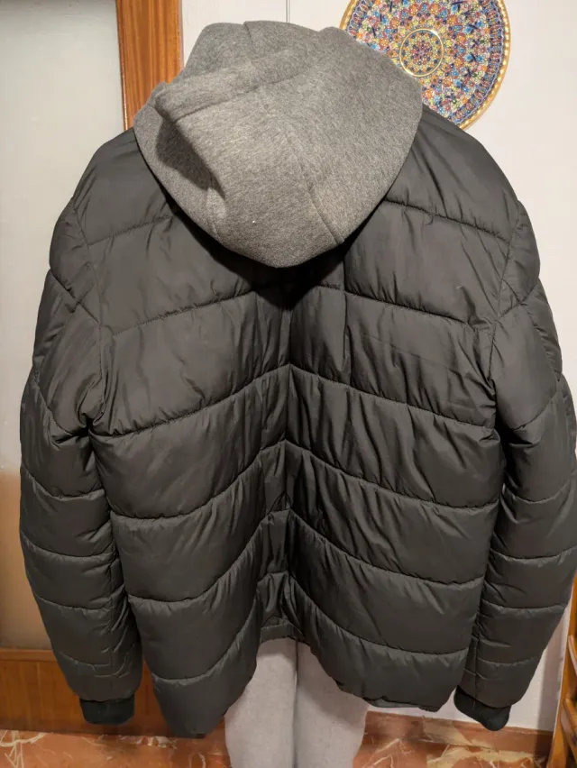 Chaqueta Springfield Negra con Capucha