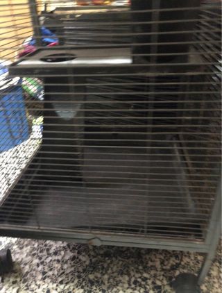 Jaula metálica grande hurones/roedores