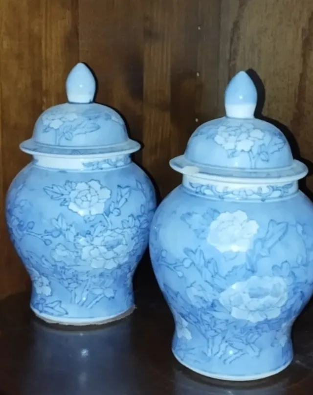 Juego 2 Jarrones Cerámica Azul y Blanco