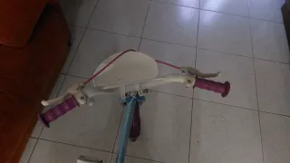 Bicicleta Frozen Niña