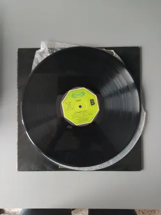 Vinilo Lluís Llach - I si canto trist...