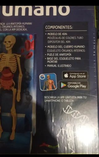 Juego El Cuerpo Humano Clementoni 9+