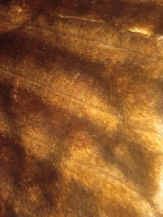 Abrigo pelo Zara Talla M