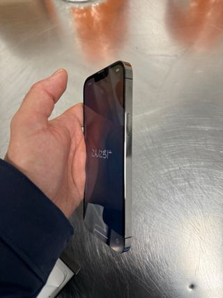 iPhone 13 Pro Max 256 GB