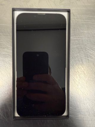 iPhone 13 Pro Max 256 GB