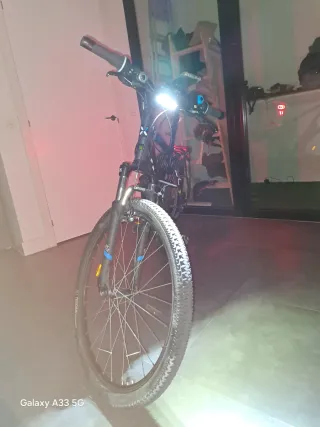 Bicicleta de montaña