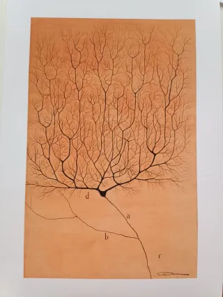 Acuarela y acrílico abstracto