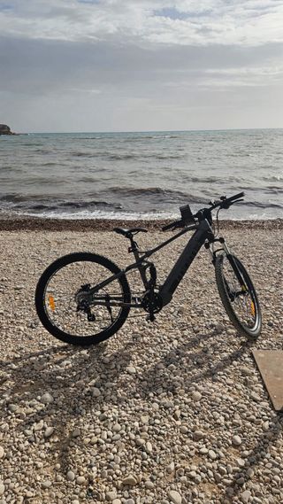 Bicicleta Eléctrica E-MTB 29 FS