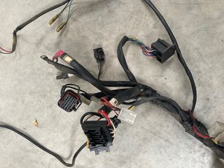 Cableado Gas Gas Wild 450