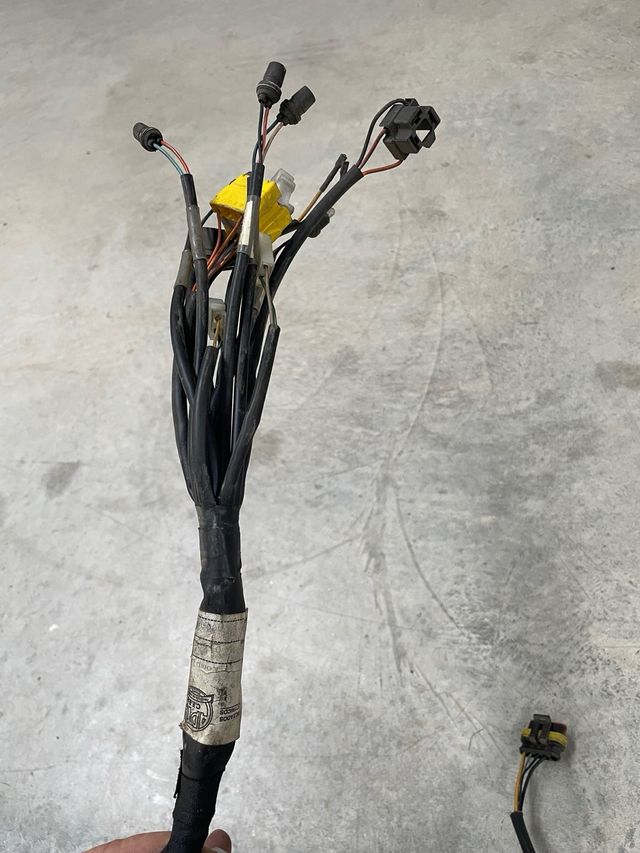 Cableado Gas Gas Wild 450